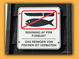 Hvide Sande  (7).jpg